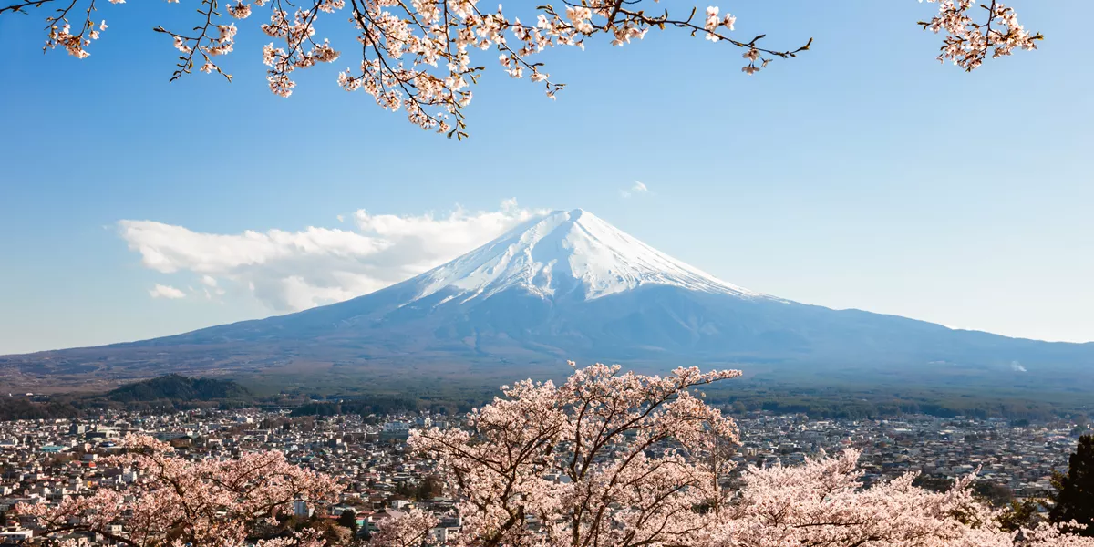 Mount Fuji ans blossoming trees, Japan