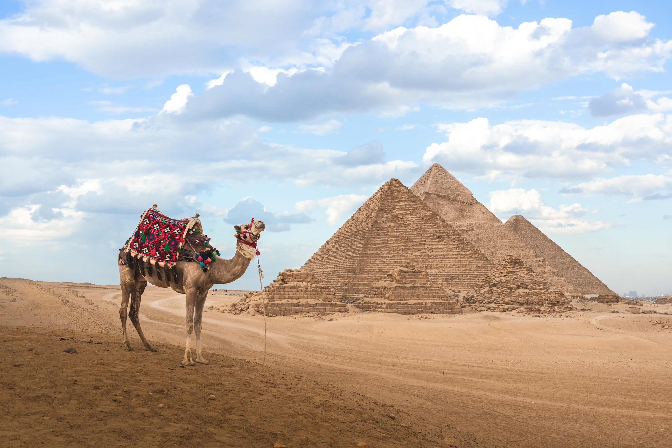 From Kiwis to Pharaohs: Small Group Tours of Egypt Await - Introduction