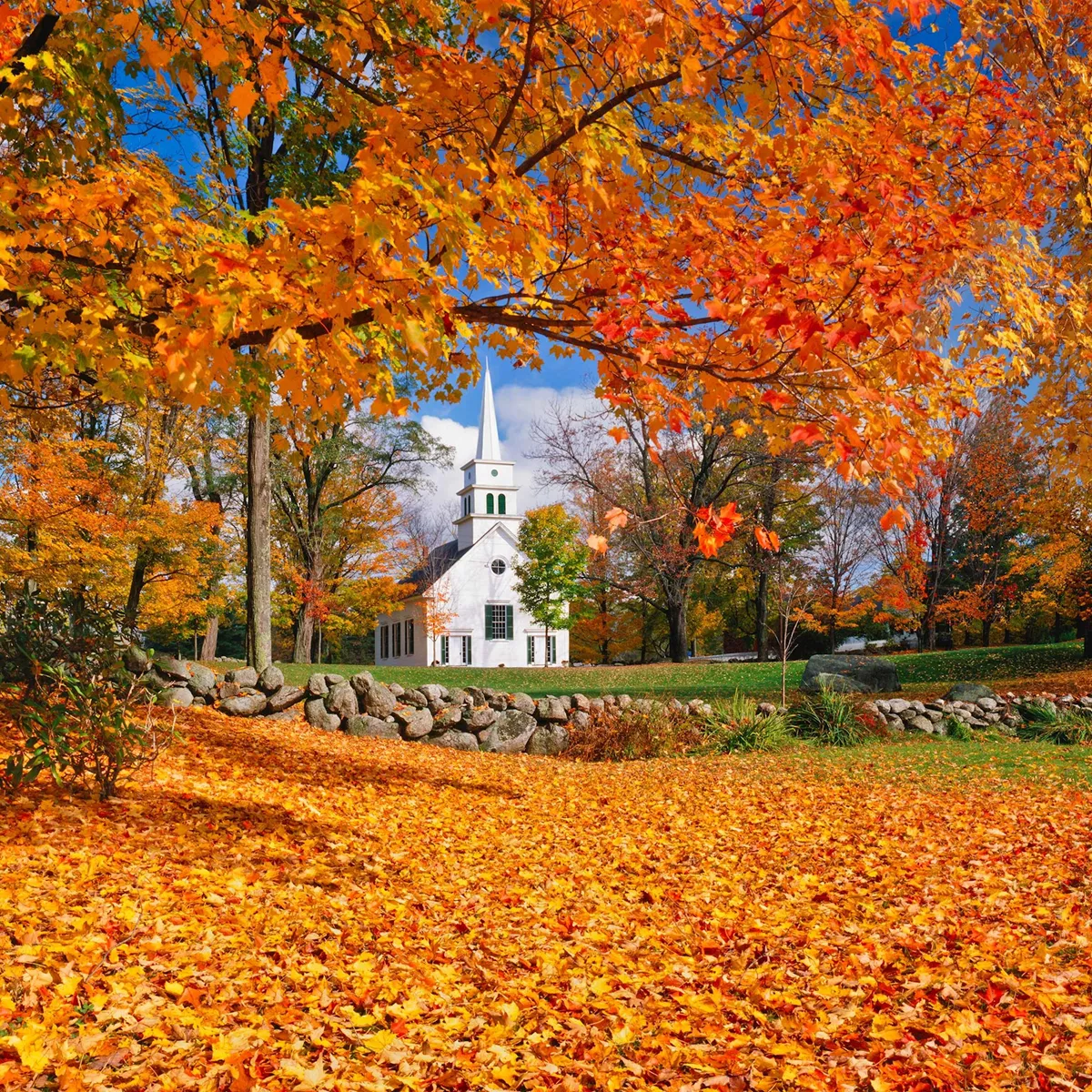 New England's Fall Foliage Guided Tour