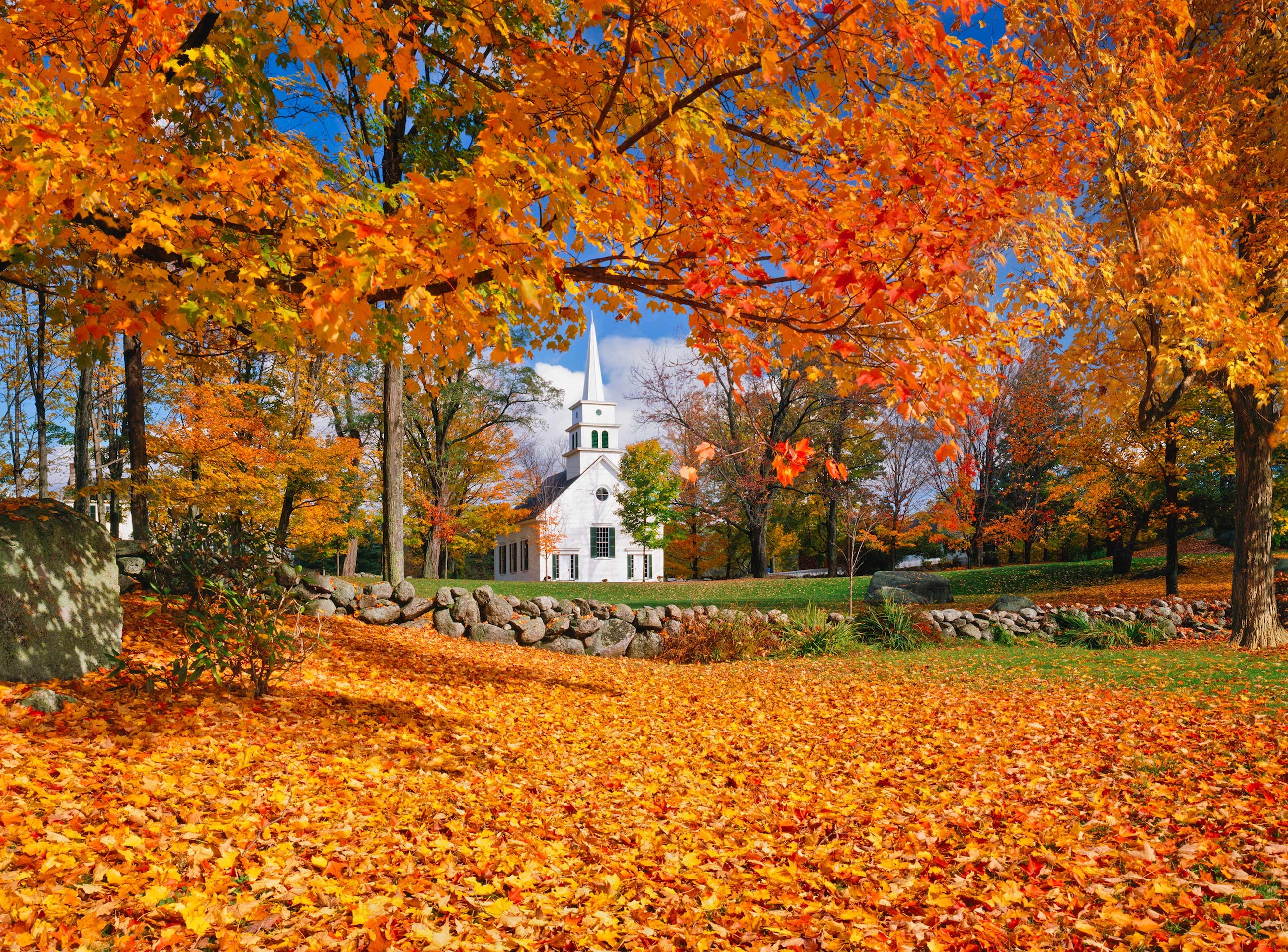 Newest Autumn in New England